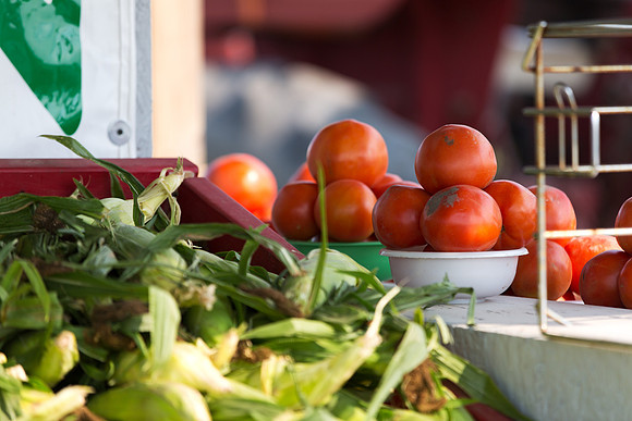Farmer's Road Side Stand - M-15