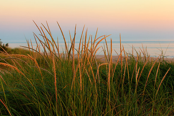 Late Evening at the Dunes