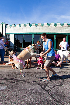 Dog Show during 1st Thursdays Art Walk