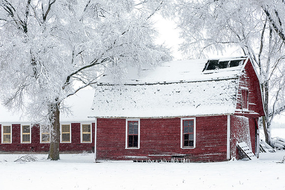 Red Barns and Snow
