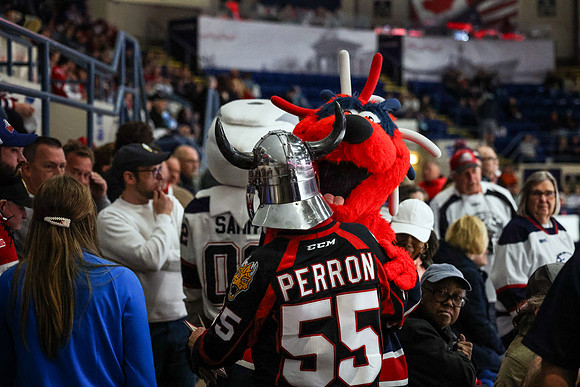 CS238913-Mascot Hug