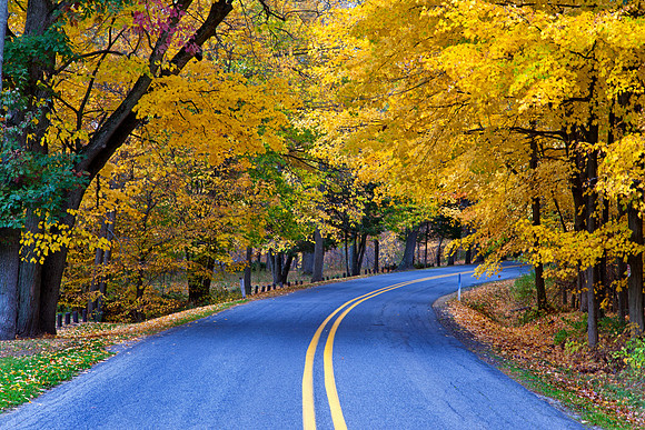 Fallasburg Park Road in Autumn