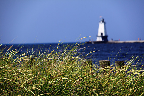 Dune Grass Perspective