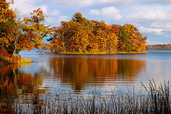 Blue Berry Island - Hamlin Lake