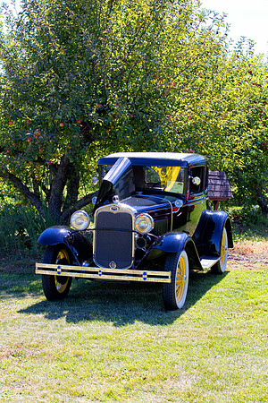 Car Show at Tiny's Apple Orchard