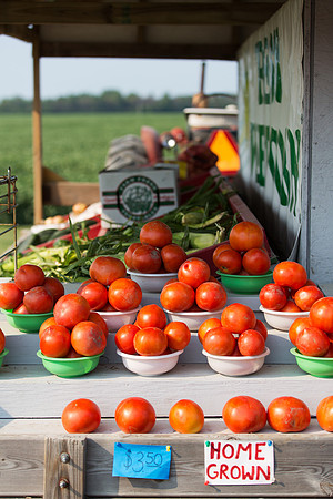 Farmer's Road Side Stand - M-15