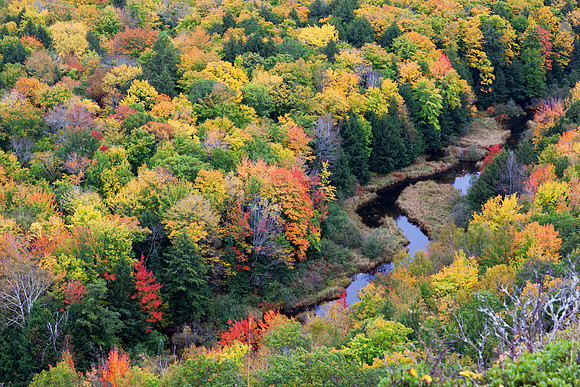 Porcupine Mountains Carp River