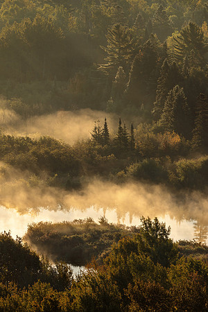 Fog, Mist, and Trees - Copper Harbor