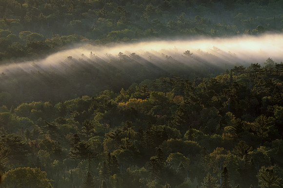Early Morning Fog - Copper Harbor