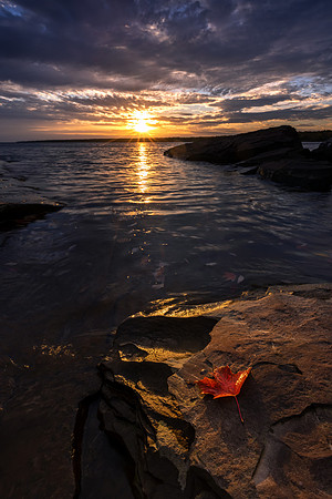 Hint of Autumn on the Shore - UP-600 CS207499