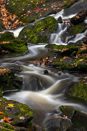 Meandering - UP-626 8D1A0015