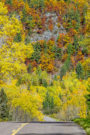 Autumn Drive - UP-601 CS209997-2