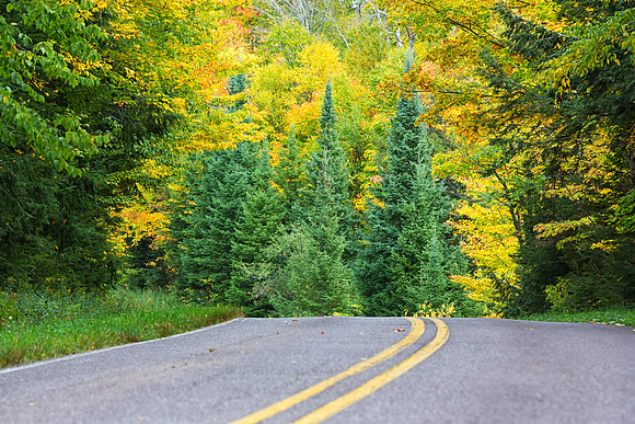 An Autumn Road