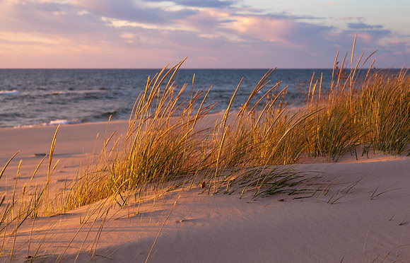 Autumn Dunes