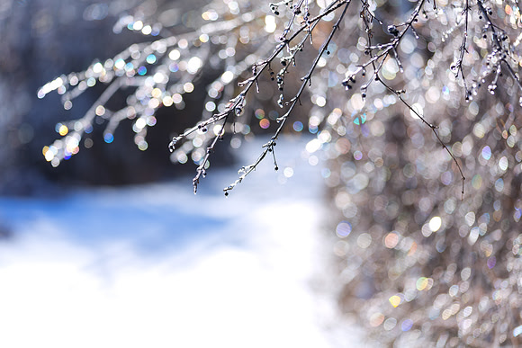 Bay City Rail Trail Ice Storm