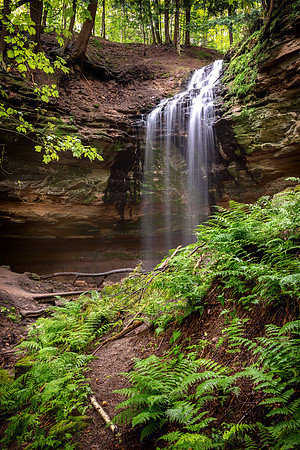 Tannery Falls & Ferns