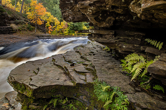 Presque Isle Autumn - UP-755 CS208617