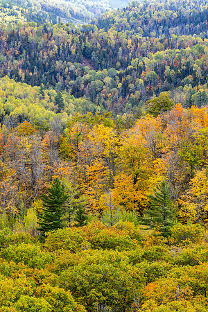 Tiers of Autumn - UP-757 CS207138