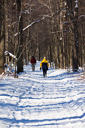 Tobico Marsh in Winter - Bay City State Park - Michigan