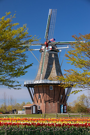 Windmill in Holland Michigan. Windmill Island Gardens. 9Q4A8701