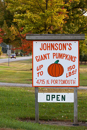 At Johnson's Giant Pumpkin Farm