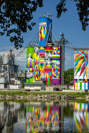 CS236841-Silo Mural