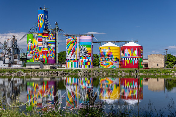 CS236863-Silo Mural