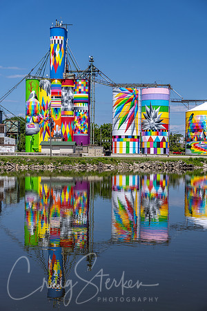 CS236882-Silo Mural