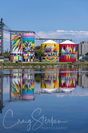 CS236890-Silo Mural
