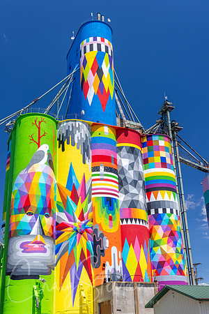 CS236898-Silo Mural