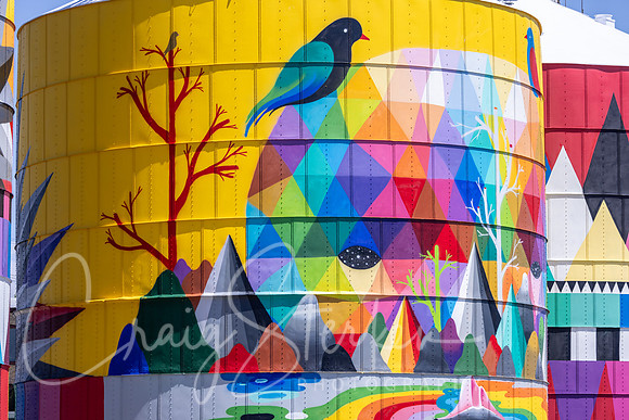 CS236915-Silo Mural