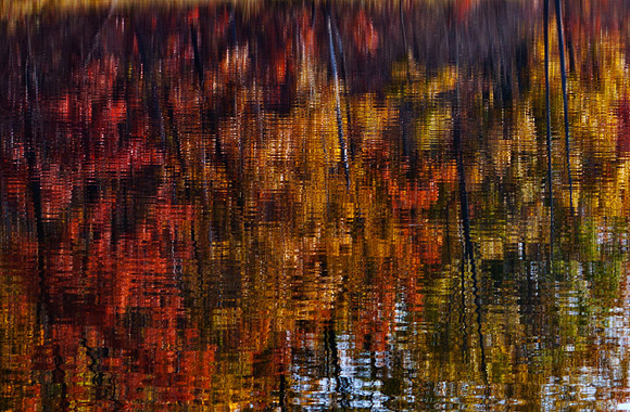 Mstr IMG_3923_Crop