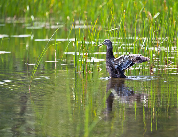 1065 - Mstr IMG_7502_Crop_filtered