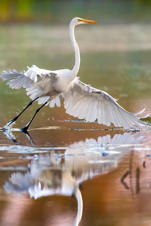 Reflecting on Takeoff - CMS_9449