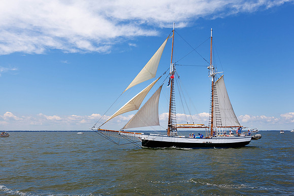 Mstr IMG_6862