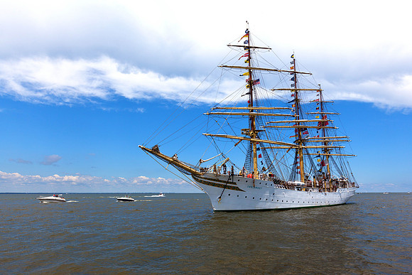 Mstr IMG_6817
