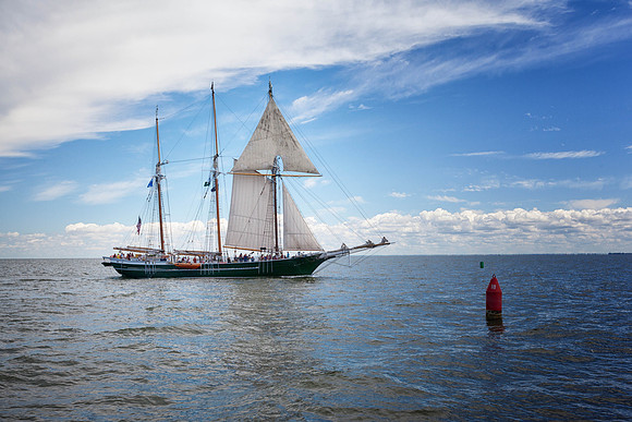 Mstr IMG_6919