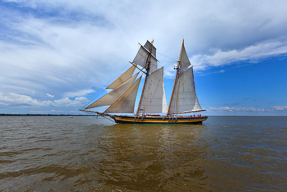 Mstr IMG_6802