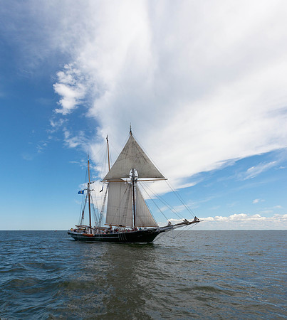 Mstr IMG_6935