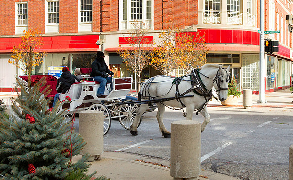 Horse and Carriage Ride - Sunday's in the City
