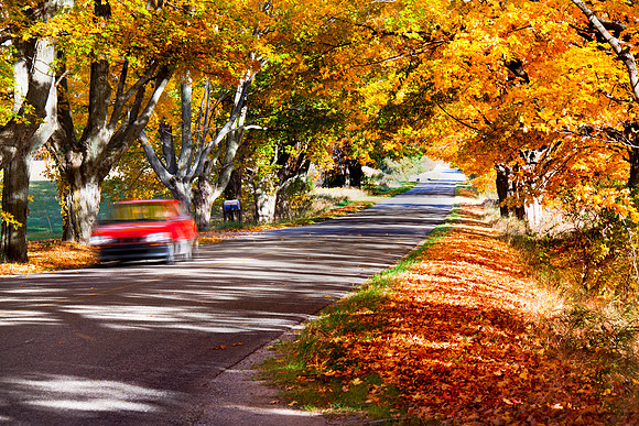 Conrad Road in Autumn