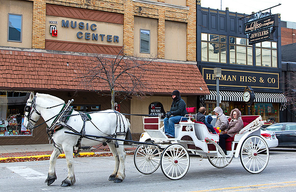 Horse and Carriage Ride - Sunday's in the City