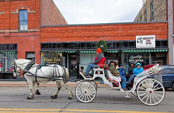 Horse and Carriage Ride - Sunday's in the City