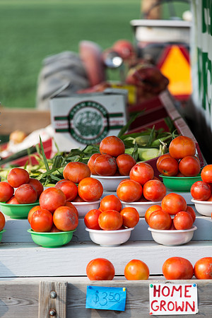 Farmer's Road Side Stand - M-15