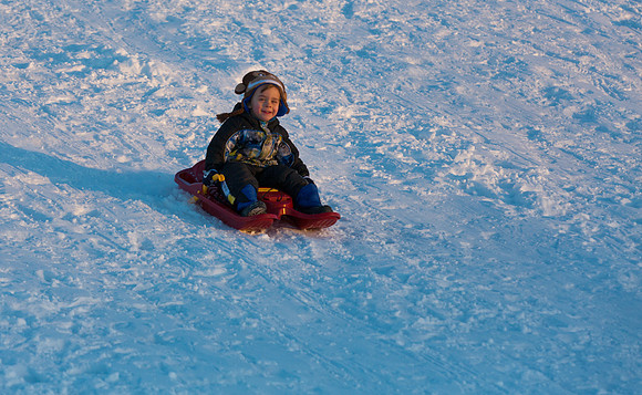 Mstr CMS_2816 crop