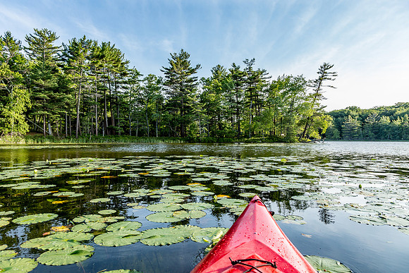 Kayaking on Lost Lake - Ludington