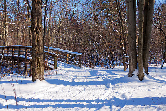 Tobico Marsh in Winter - Bay City State Park - Michigan