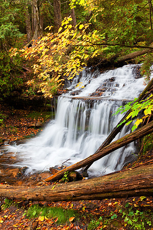 UP_Wagner IMG_8940_Data