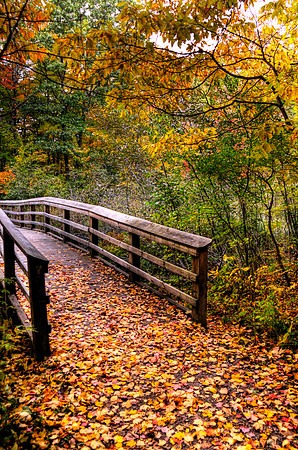 Tobico Bridge Path