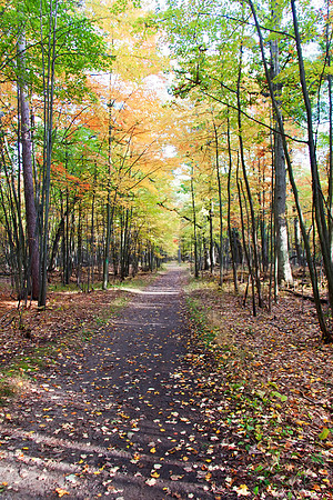 Tobico Marsh - Bay City State Park - Bay City Michigan